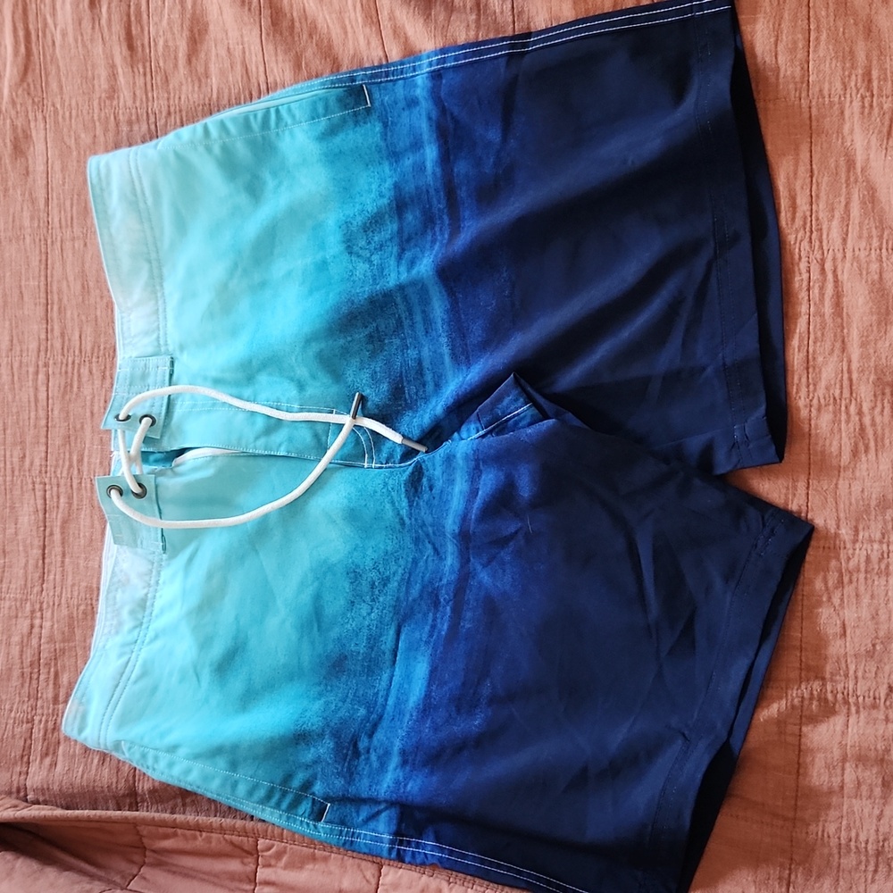 American Eagle Men's Swim Trunks L